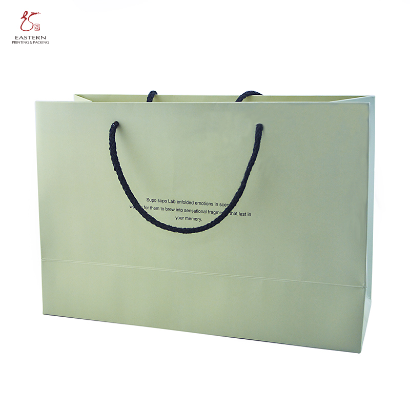 CMYK Recycled Printed Paper Shopping Bag For Toothpaste