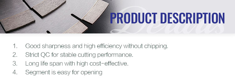 Global Market Diamond Grinding Disc Wheel Sintered Segment for Strong Slabs Grinding