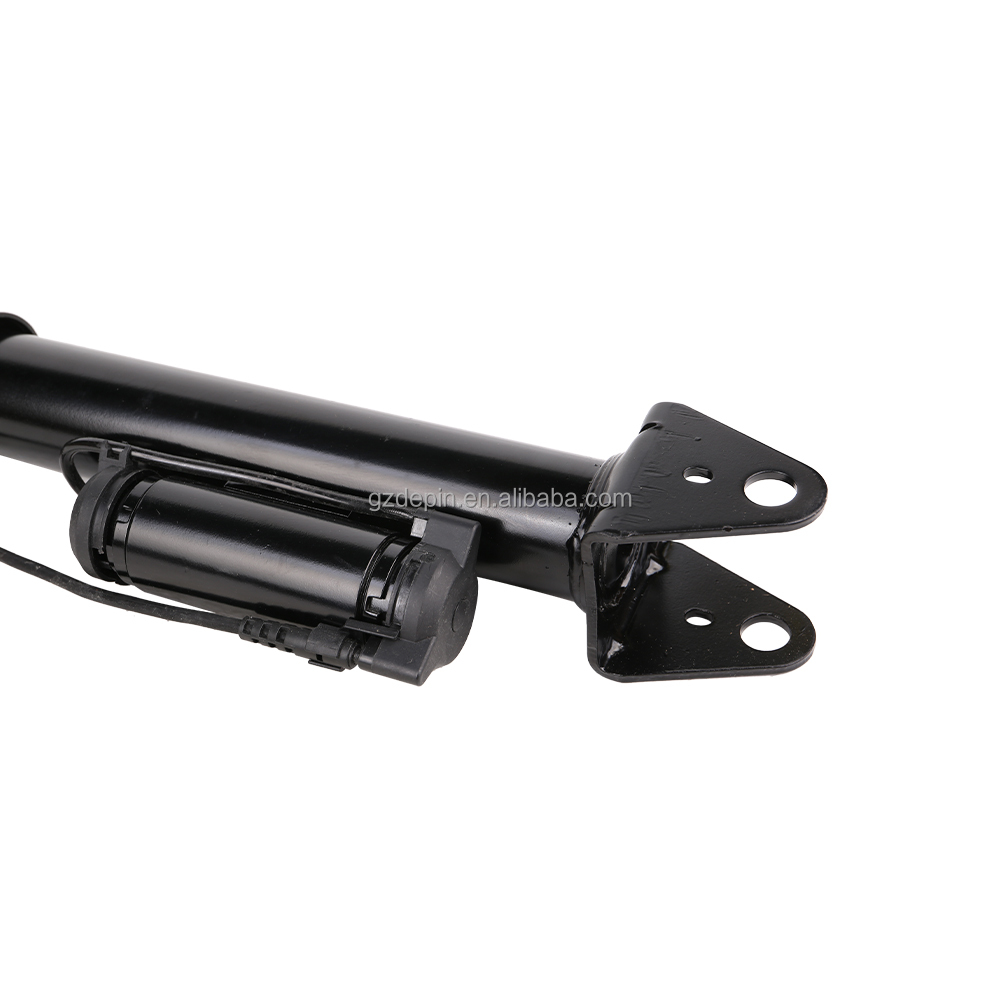 2513203031 Auto Parts Rear Air Suspensions Shock Absorber for Mercedes 251 R280 R350 R500