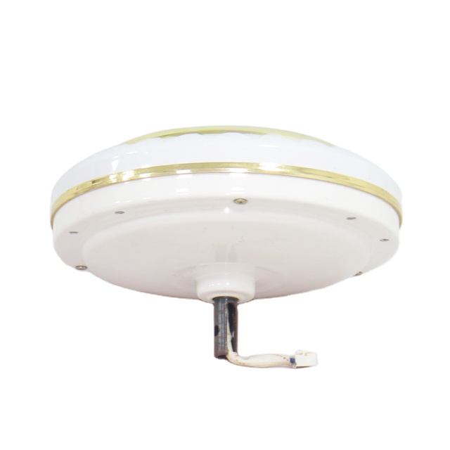 BLDC 56 Inch Large Industrial DC Ceiling Fans 12V For Home With Remote Control