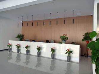 chongqing pharmaceutical (hunan) pharmaceutical Co., Ltd