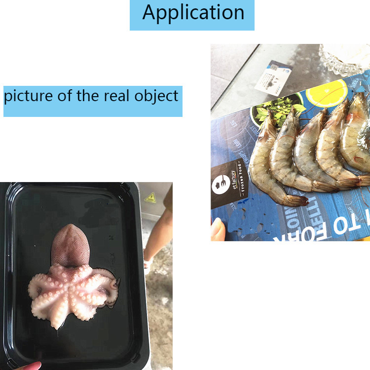 Multifunctional vacuum skin packing machine processing fish skin pack machine