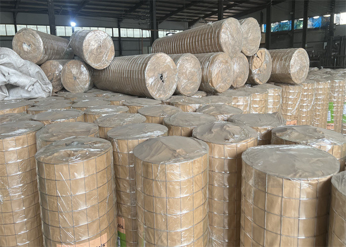 Galvanized Farm Welded Wire Mesh Low Carbon Steel Q195
