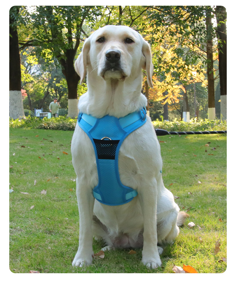 Pet Massage Chest Harness Reflective Breathable Mesh Vest Style For Small Medium And Large Dogs