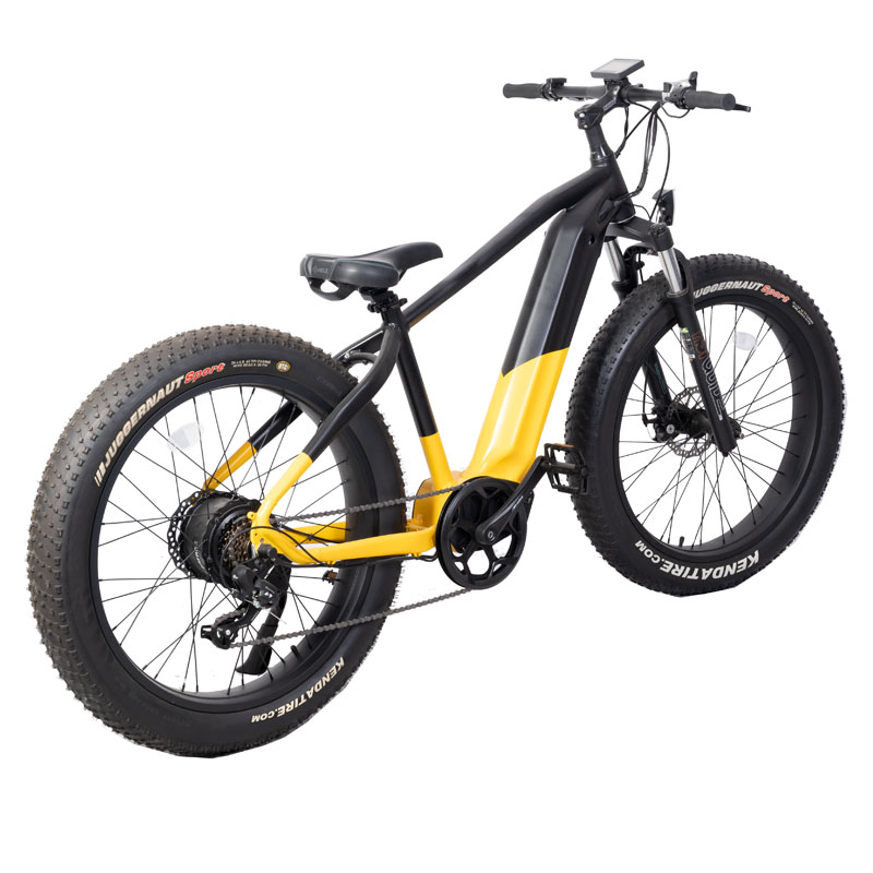 Customized Dual Motor Electric Mountain Bike with Central Motor and Max Speed 50km/h