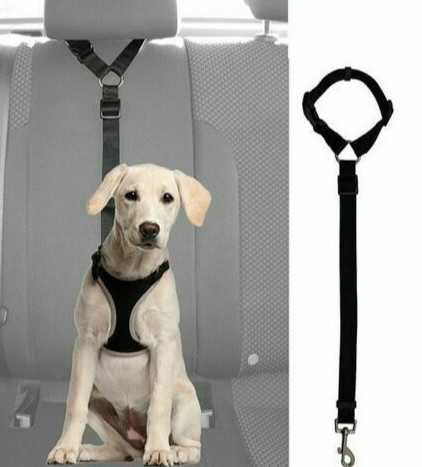 seat belt dog collars & harnesses
