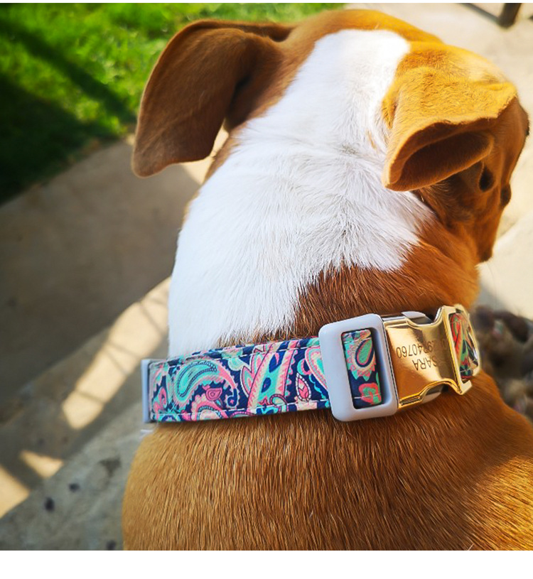 Beautiful Pattern Adjustable Nylon Collar Customized Color Pet Dog Accessories