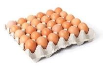 Eggs Packaging Waste Paper Egg Tray Machine/Egg Tray Pulp Molding Machine With PLC Controlled