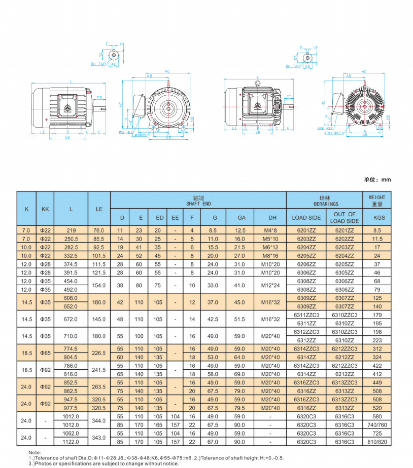 Electric Iec Standard Motor Cast Iron Iec 60947 4 Class 10 Iec 61800 9 2