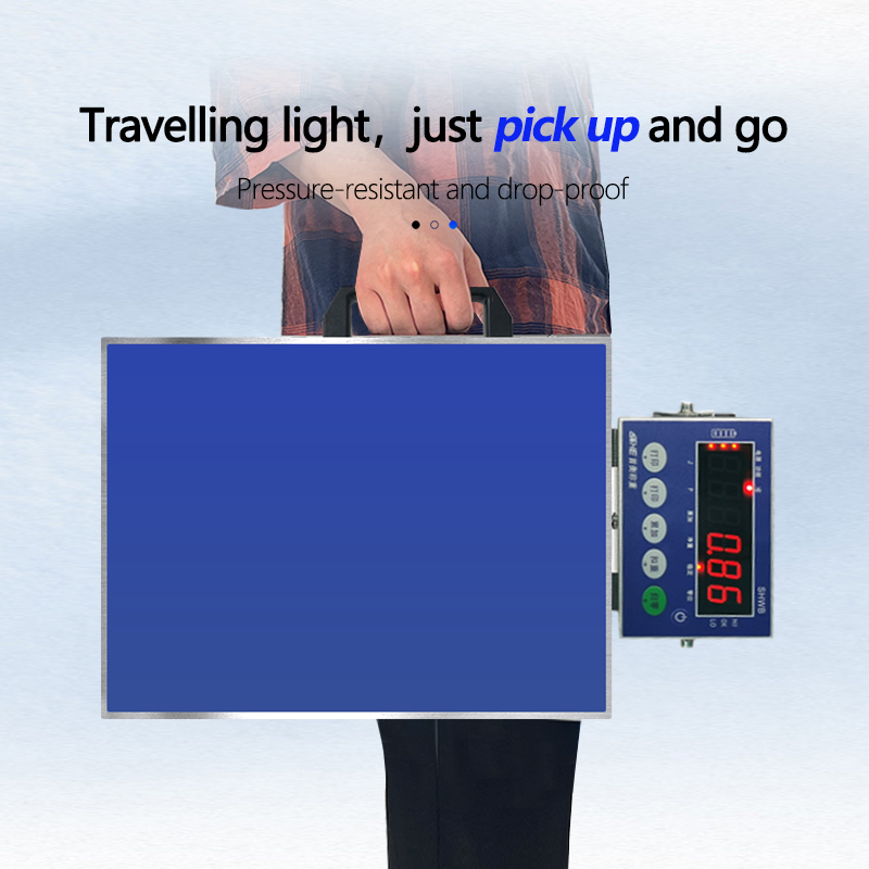 30kg Capacity Industrial Weighing Scale Platforms 260mm*350mm Table Size