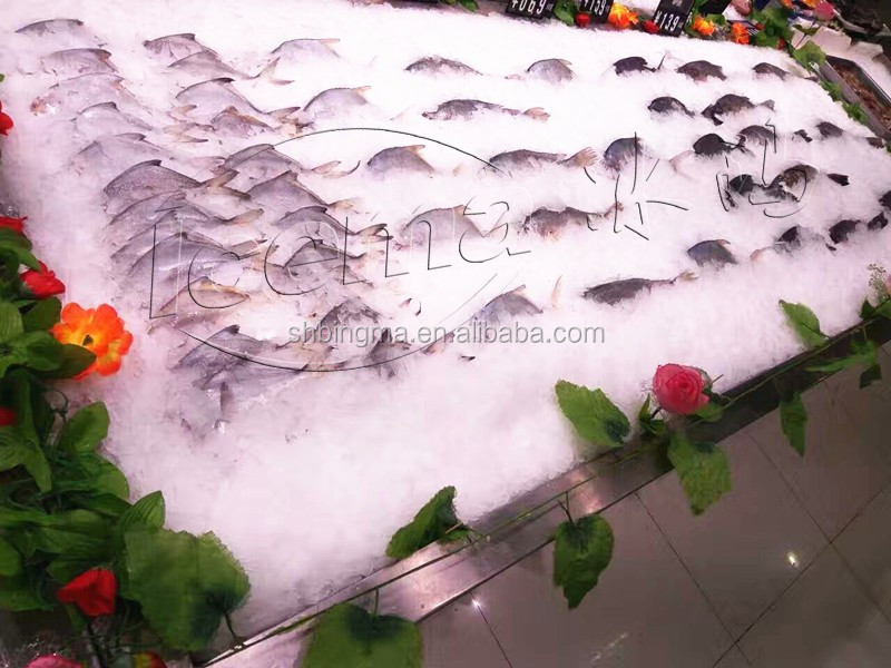 Small Commercial Cheap Ice Block/flake Ice Making Machine/ice Maker