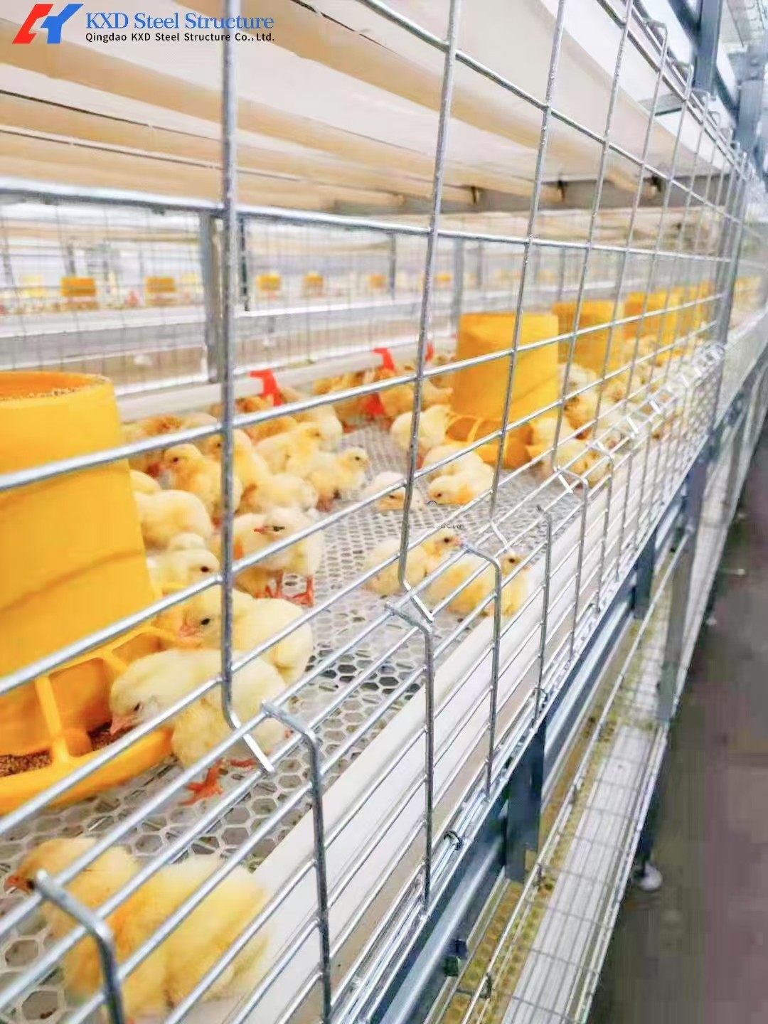3 Tiers-10 Tiers Broiler Chicken Cage Automatic Broiler Battery Cage System