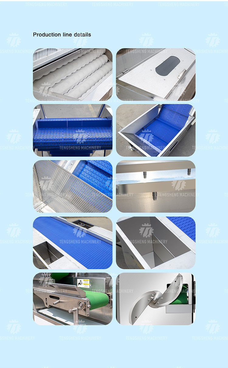 Vegetable Hair Roller Bubble Washing Selection Cutting Machine Production Line
