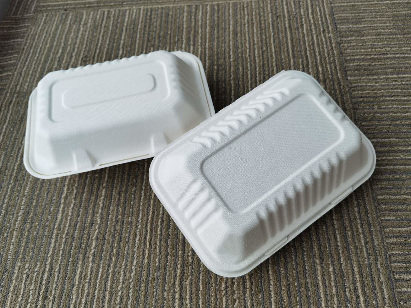 Sugarcane Pulp Biodegradable Take Out Food Containers 9 Inch