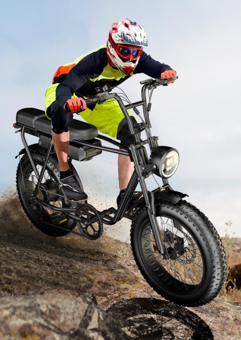 Max Speed 30-50Km/h Disc Brake Electric Fat Tire Bike 48V 400W Motor Ebike