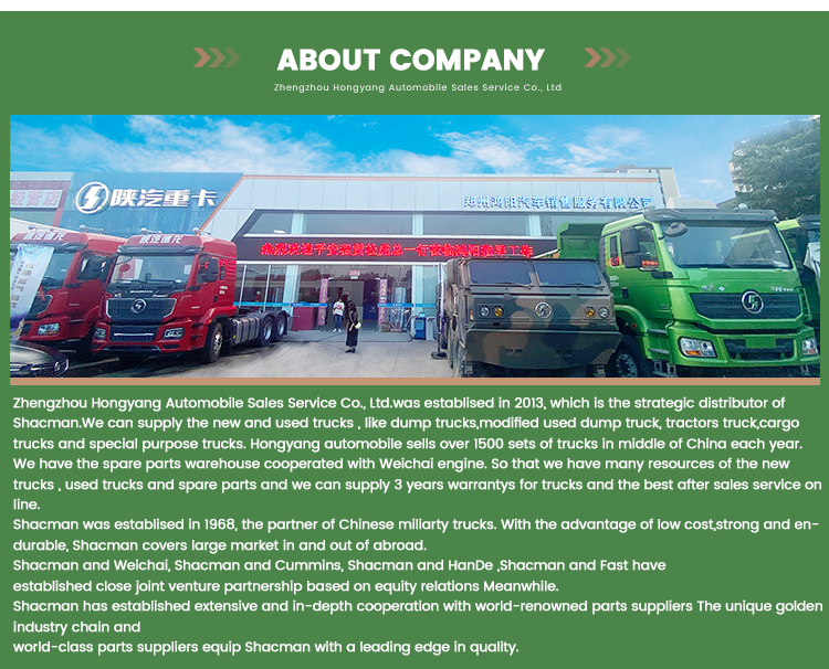 Shacman H3000 336Hp 6X4 4X2 Cargo Trucks Performance for Express Transportation Market