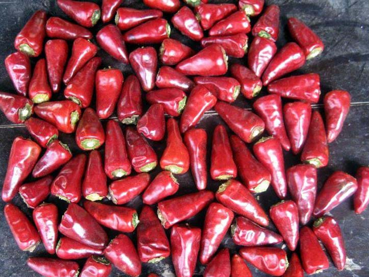 Dehydrated Red Bullet Chilli Pods Cayenne Pepper 25000SHU Without Stem