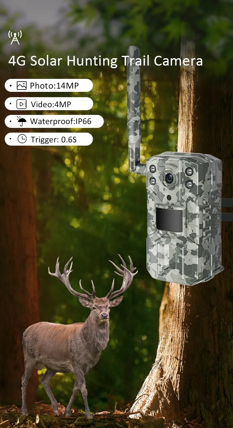 Weatherproof 4MP Outdoor Trail Camera IP66 18650 Battery With Night Vision