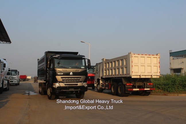 Sinotruck 40-60ton HOWO 8X4 371HP 375HP 380HP Diesel Truck Dump Truck