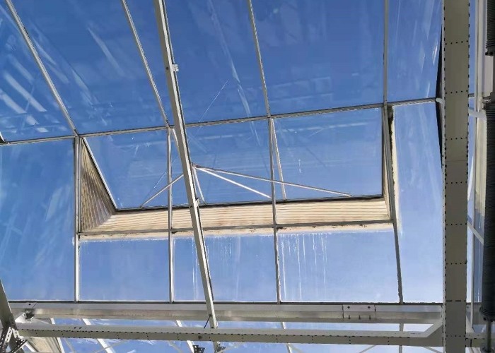 factory venlo Polycarbonate sheet farming greenhouse Multi-Span Commercial pc sheet Prefab green house overall thermal system