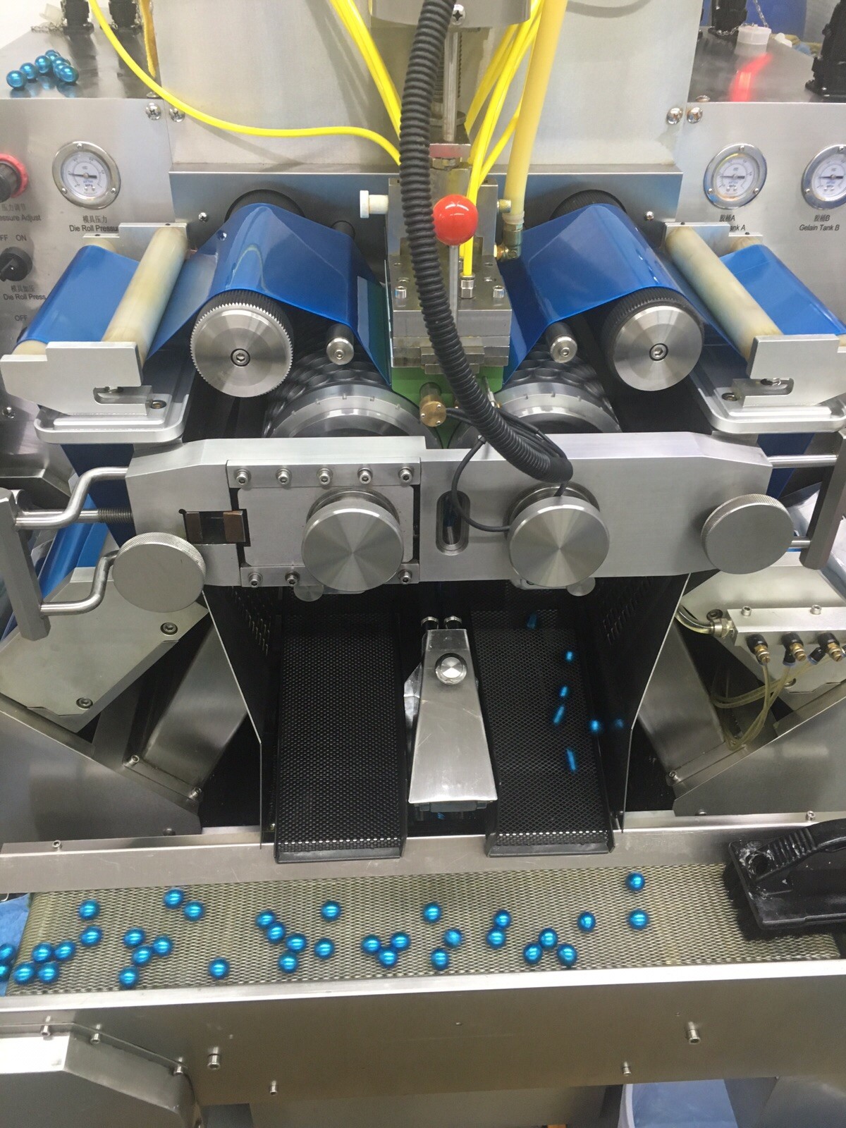 Small Scale Fish Oil Vitamin Softgel Machines For Animal Gel And Starch