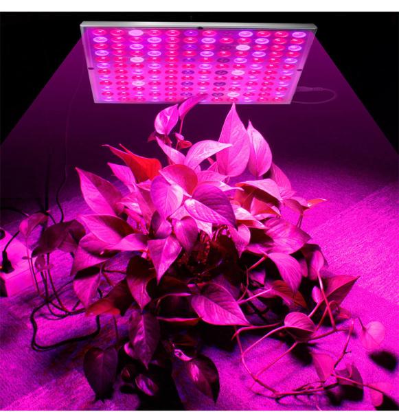 Quality Full Spectrum 45W 85V Indoor Plant Grow Light for sale