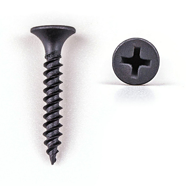 Patta Malibu Fasteners Coarse Fine Thread 1-1/4 Hidden Camera Drywall Screw