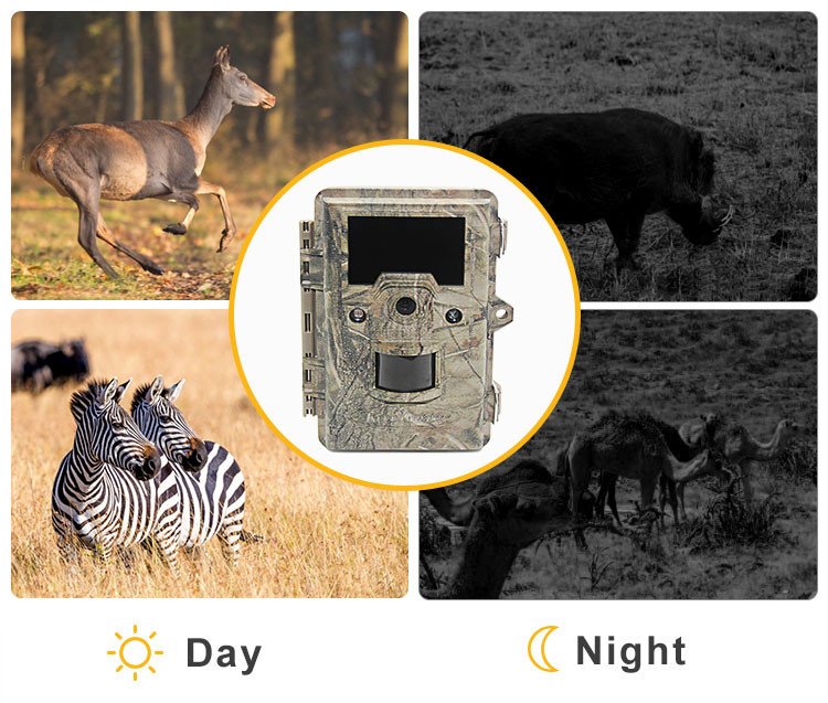 940nm IR Wildlife Hunting Camera Infrared Scouting 12MP HD Auto PIR