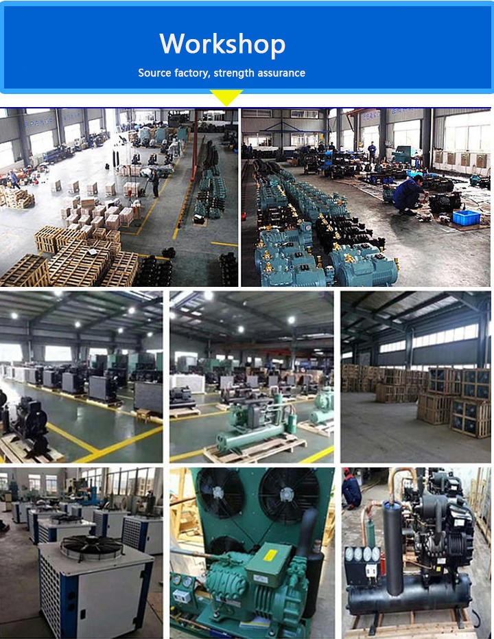 Lower Temperature Storage Container Cold Room Single Phase 800ton -40℃ ~ +20℃