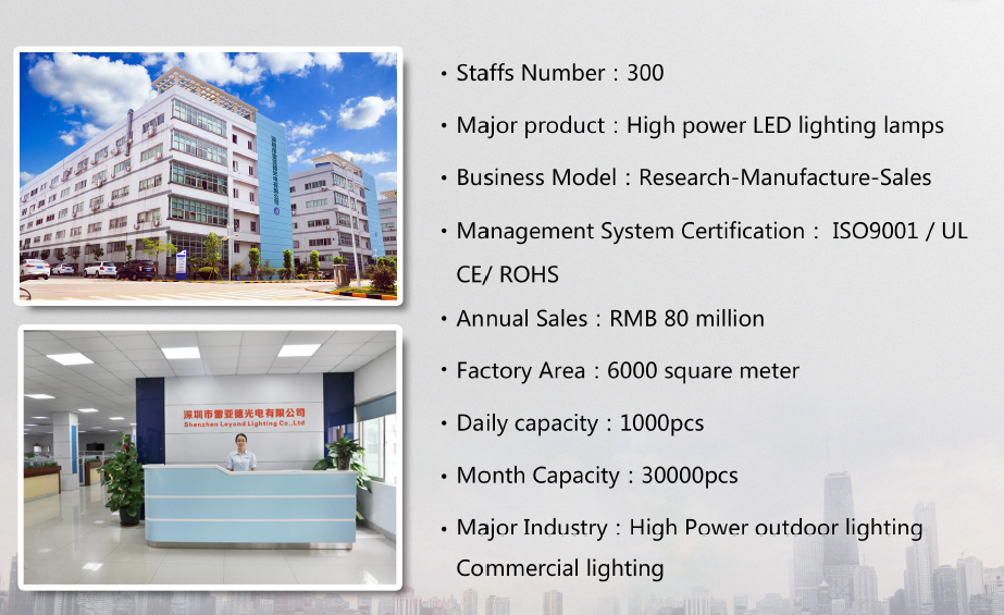 led solar street light diecast aluminum 10-80w Lumileds Luxeon 5050 chips 160-170lm/w microwave/PIR sensor smart control