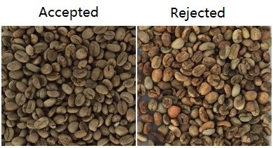 3.6kw coffee bean sorting machine